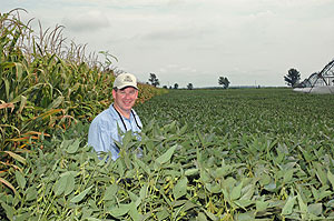 Soybeans Irrigation